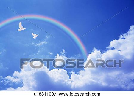 Birds flying under a rainbow View Large Photo Image Stock Photo - Birds flying under a rainbow. Fotosearch