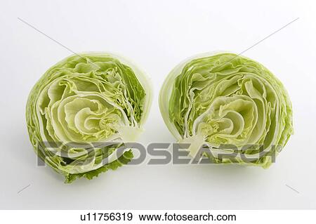 Bisected lettuce View Large Photo Image Stock Photo - Bisected lettuce. Fotosearch