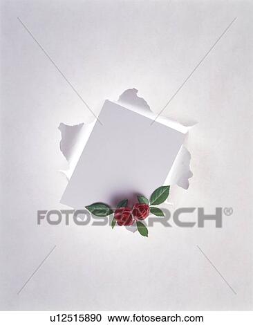 Stock Image - Blank envelope with red roses. Fotosearch