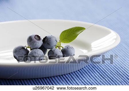 Blueberries View Large Photo Image Stock Image - Blueberries. Fotosearch