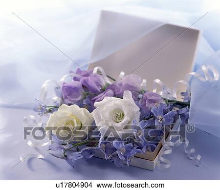 Bouquet in a gift box View Large Photo Image Picture - Bouquet in a gift box. Fotosearch