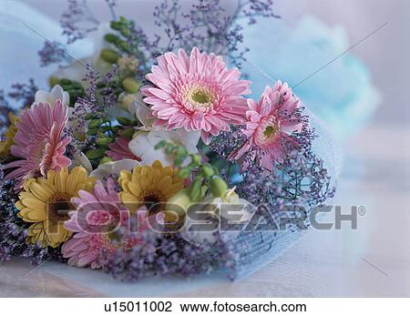 Bouquet of gerberas and freesias View Large Photo Image Stock Image - Bouquet of gerberas and freesias. Fotosearch