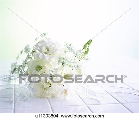 Picture - Bouquet of white flowers on white tiles. Fotosearch
