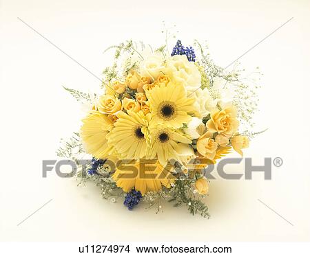 Bouquet of yellow flowers View Large Photo Image Picture - Bouquet of yellow flowers. Fotosearch