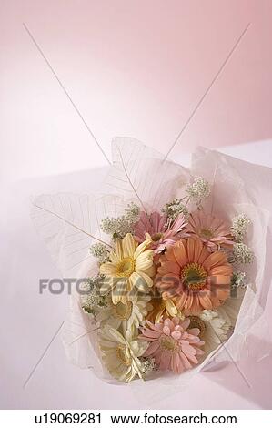 Stock Image - Bouquet. Fotosearch