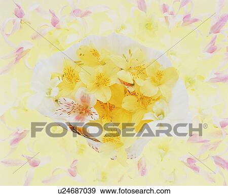 Stock Photo - Bouquet. Fotosearch