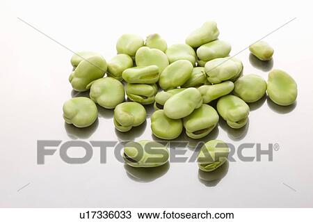 Broad beans View Large Photo Image Stock Image - Broad beans. Fotosearch