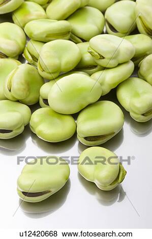 Broad beans View Large Photo Image Stock Photo - Broad beans. Fotosearch