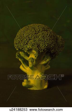Broccoli View Large Photo Image Stock Image - Broccoli. Fotosearch