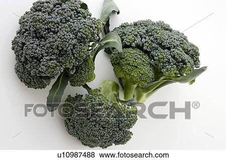 Stock Photo - Broccoli. Fotosearch