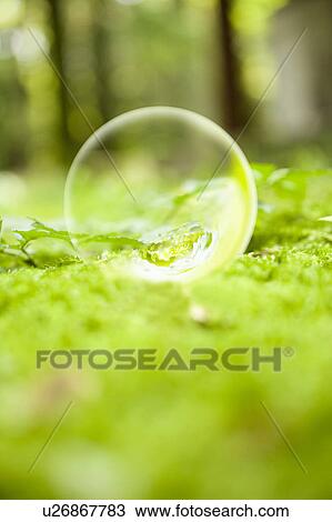 Stock Image - Bubble resting on grass. Fotosearch