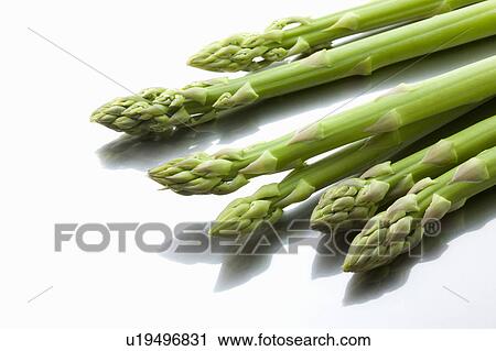 Stock Image - Bunch of asparagus. Fotosearch