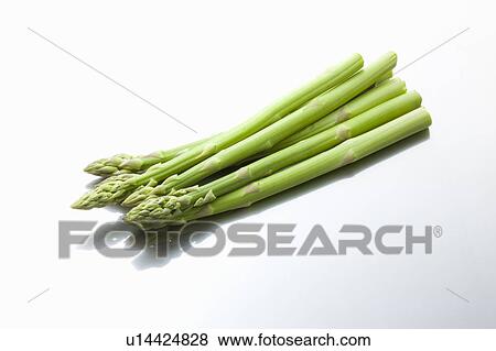 Bunch of asparagus View Large Photo Image Stock Photo - Bunch of asparagus. Fotosearch
