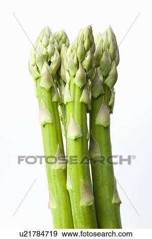 Stock Photo - Bunch of asparagus. Fotosearch
