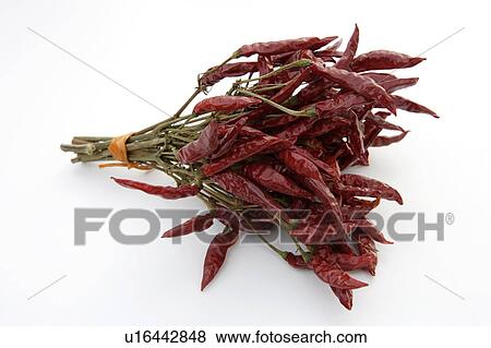 Stock Photo - Bunch of red chili peppers. Fotosearch