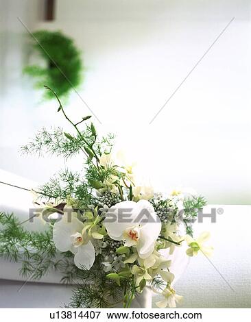 Stock Photo - Bunch of white flowers. Fotosearch