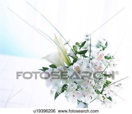 Stock Photograph - Bunch of white flowers. Fotosearch
