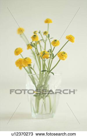 Stock Image - Bunch of yellow flowers in glass vase. Fotosearch