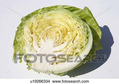 Picture - Cabbage cross-section. Fotosearch