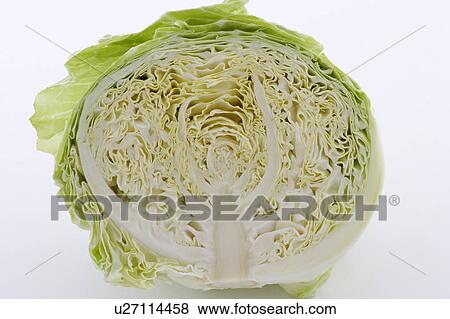 Stock Photo - Cabbage cross-section. Fotosearch