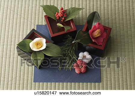 Camellia and sarcandra glabra in boxes with plum blossom decorations View Large Photo Image Stock Photo - Camellia and sarcandra glabra in boxes with plum blossom decorations. Fotosearch