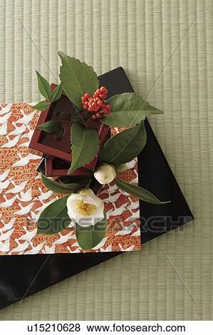 Camellia and sarcandra glabra stacked in boxes View Large Photo Image Stock Photo - Camellia and sarcandra glabra stacked in boxes. Fotosearch