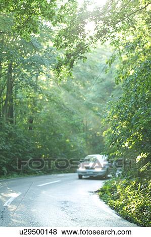 Car driving a forest road, Towada, Aomori Prefecture, Japan View Large Photo Image Stock Photo - Car driving a forest road, Towada, Aomori Prefecture, Japan. Fotosearch