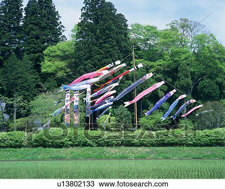 Carp streamers surrounded by greenery View Large Photo Image Stock Image - Carp streamers surrounded by greenery. Fotosearch