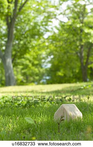 Carved wooden house in the grass View Large Photo Image Stock Image - Carved wooden house in the grass. Fotosearch