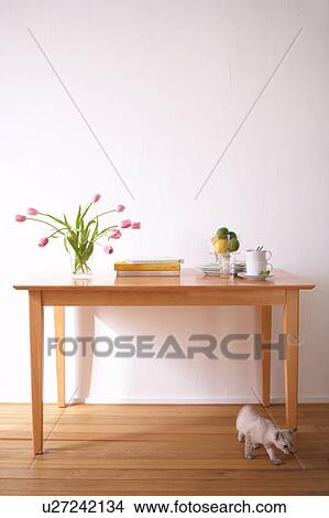 Picture - Cat walking under table. Fotosearch