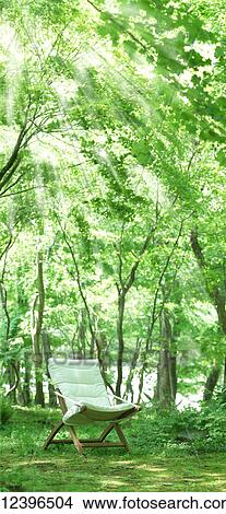 Picture - Chair in a forest clearing, Towada, Aomori Prefecture, Japan. Fotosearch