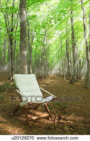 Stock Image - Chair in a forest clearing, Towada, Aomori Prefecture, Japan. Fotosearch