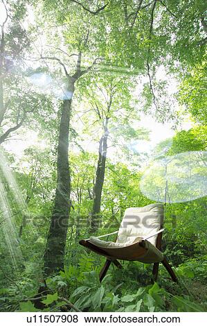 Chair in a forest, Tsuta-numa, Aomori Prefecture, Japan View Large Photo Image Stock Photo - Chair in a forest, Tsuta-numa, Aomori Prefecture, Japan. Fotosearch