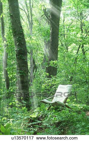 Chair in a forest, Tsuta-numa, Aomori Prefecture, Japan View Large Photo Image Stock Photo - Chair in a forest, Tsuta-numa, Aomori Prefecture, Japan. Fotosearch