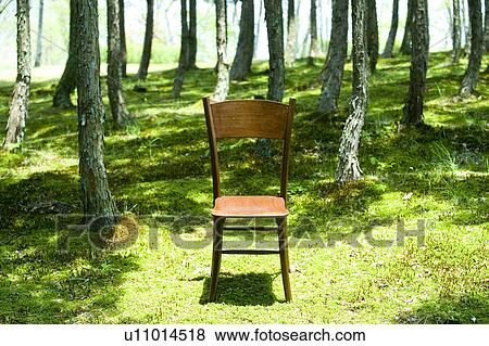 Chair in a park View Large Photo Image Stock Photo - Chair in a park. Fotosearch