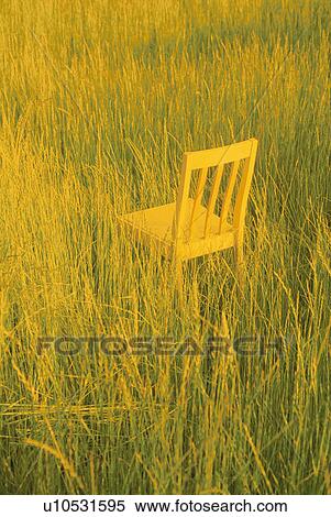 Stock Photography - Chair in meadow with long grass. Fotosearch