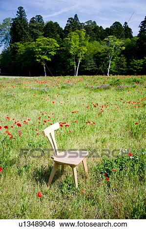 Chair in poppy field View Large Photo Image Stock Photo - Chair in poppy field. Fotosearch