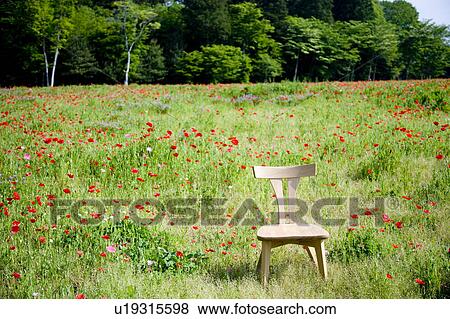 Stock Photo - Chair in poppy field. Fotosearch