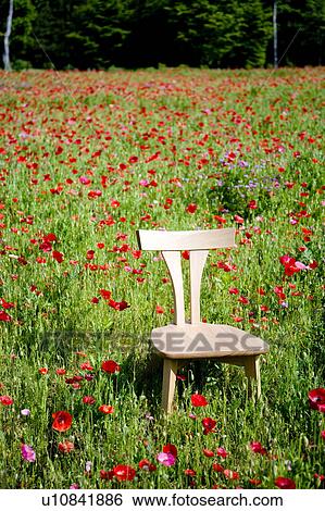Chair in poppy field View Large Photo Image Stock Photograph - Chair in poppy field. Fotosearch