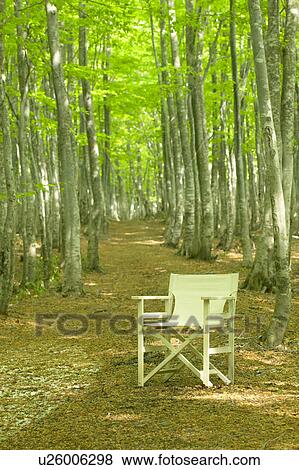 Chair on a forest path, Tsuta-numa, Aomori Prefecture, Japan View Large Photo Image Stock Photo - Chair on a forest path, Tsuta-numa, Aomori Prefecture, Japan. Fotosearch