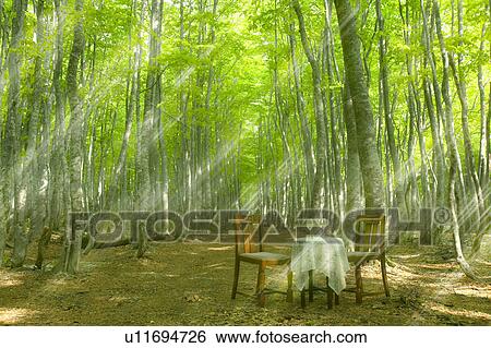 Chairs and table in a forest clearing, Tsuta-numa, Aomori Prefecture, Japan View Large Photo Image Stock Photograph - Chairs and table in a forest clearing, Tsuta-numa, Aomori Prefecture, Japan. Fotosearch