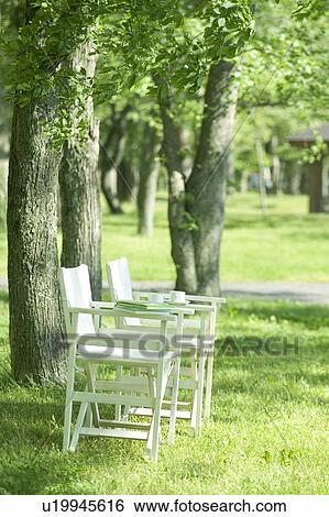 Chairs in a park View Large Photo Image Stock Photograph - Chairs in a park. Fotosearch