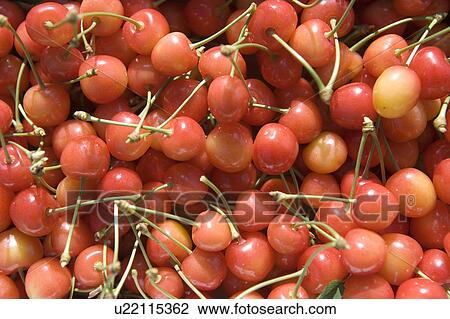 Stock Image - Cherries. Fotosearch