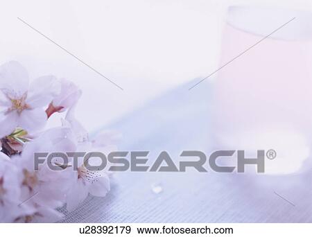 Stock Photo - Cherry blossoms and glass of water. Fotosearch