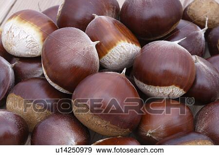 Stock Photo - Chestnuts. Fotosearch