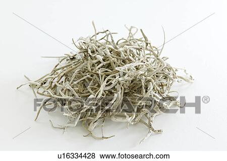 Stock Photo - Chinese Snow Tea. Fotosearch