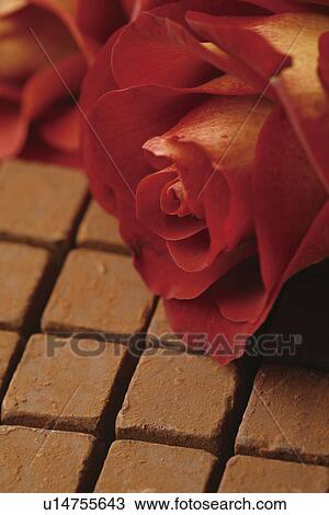 Stock Image - Chocolate and a rose. Fotosearch