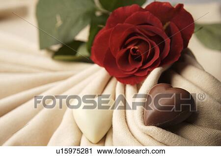Stock Image - Chocolate hearts on material with a red rose. Fotosearch
