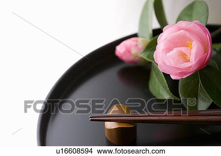 Chopsticks and a camellia on a tray View Large Photo Image Picture - Chopsticks and a camellia on a tray. Fotosearch