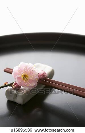 Chopsticks and a plum blossom on a tray View Large Photo Image Stock Photograph - Chopsticks and a plum blossom on a tray. Fotosearch